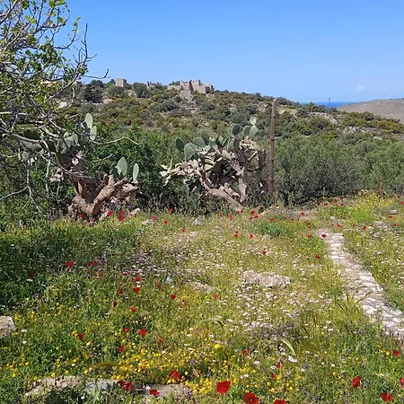 Sotula Διαμέρισμα Erimos