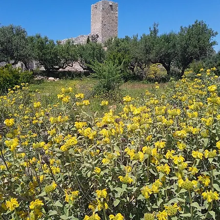 Διαμέρισμα Sotula Erimos