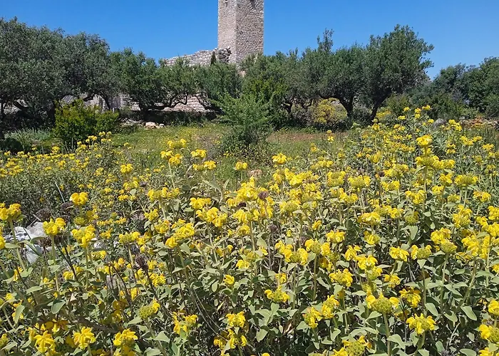 Apartman Sotula Érimos